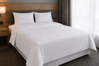 Lenjerie pat King size Satin Plain - set 5/10 buc